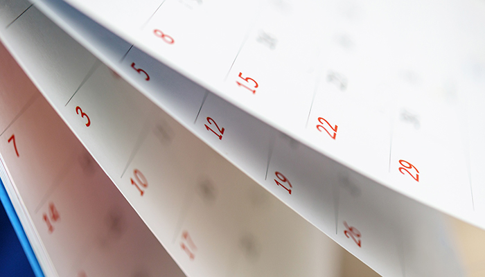 A close-up view of a wall calendar displaying numbers in sequential order, emphasizing dates 12 and 29 with a blurred background.